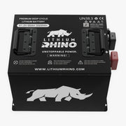 Lithium Rhino 48V 65Ah Conversion Kit