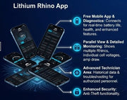 Lithium Rhino 36V 105Ah Conversion Kit